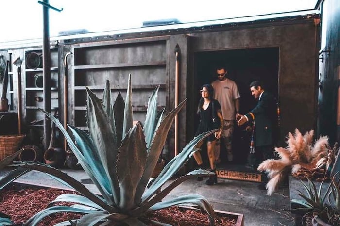 Immersive Agave Experience at Tequila Town Miami