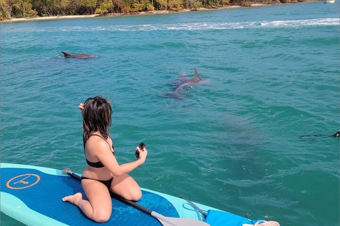 Nature & Island Exploration on SUP/Kayak
