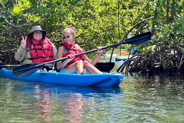 Paddle Board or Kayak Rental in Virginia Key