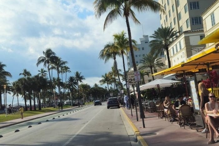 Private Everglades and City Tour Combined