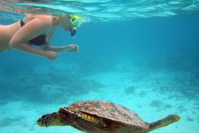 Fra Dagsudflugt til Key West