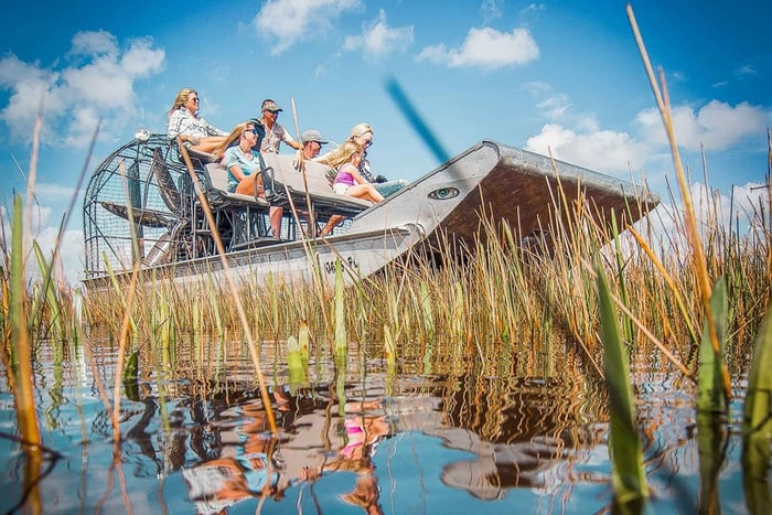 Miami : Visite du parc national des Everglades en canot pneumatique et spectacle de la faune et de la flore
