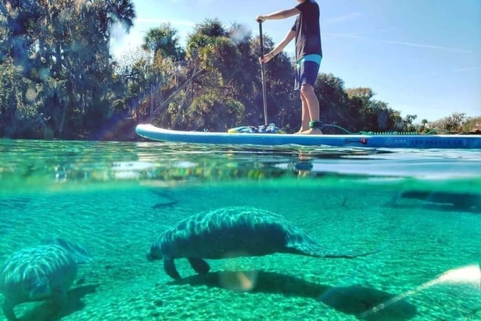 North Miami : Exploration de la nature et des îles en SUP/Kayak