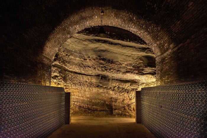 Barolo Vineyards & UNESCO Wine Cathedral Experience