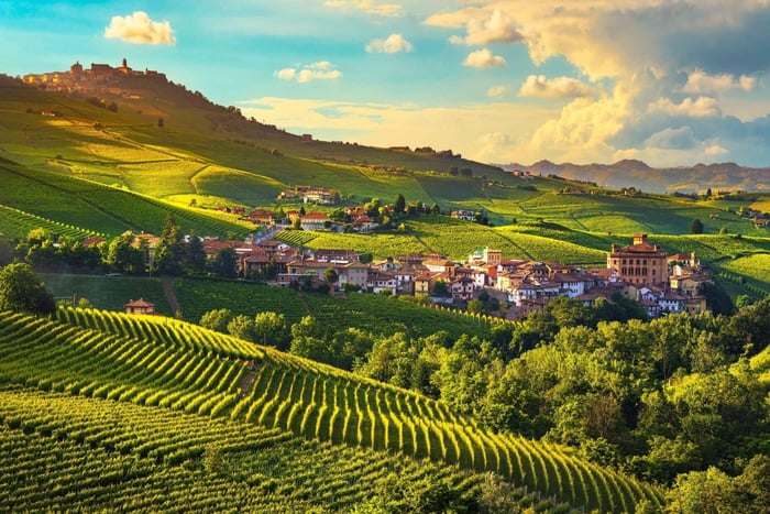 Milão: Destaques do Piemonte - Prova de Vinhos Barolo, Alba e Castelo