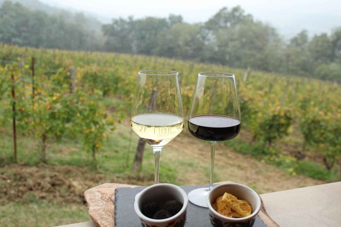 Piedmont: Wine & Truffle Escape: Aperitif in the Vineyard 45 min from Milan