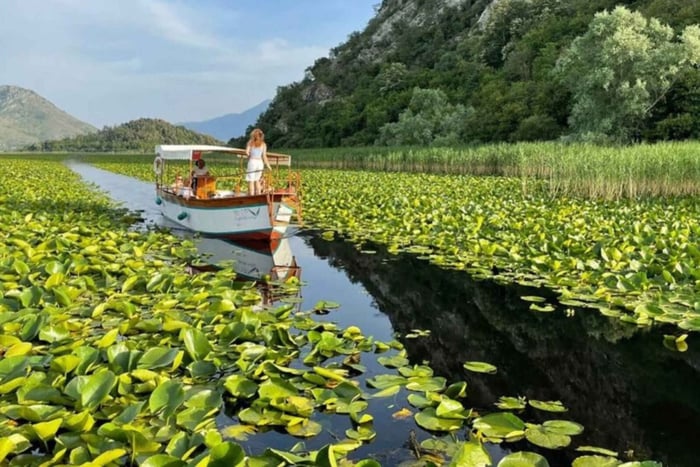 Bar: Skadar Lake Cruise, Wine & Family-Hosted Village Lunch