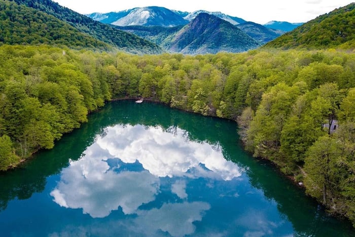Biogradska Gora National Park, Primeval Rainforest Day Tour