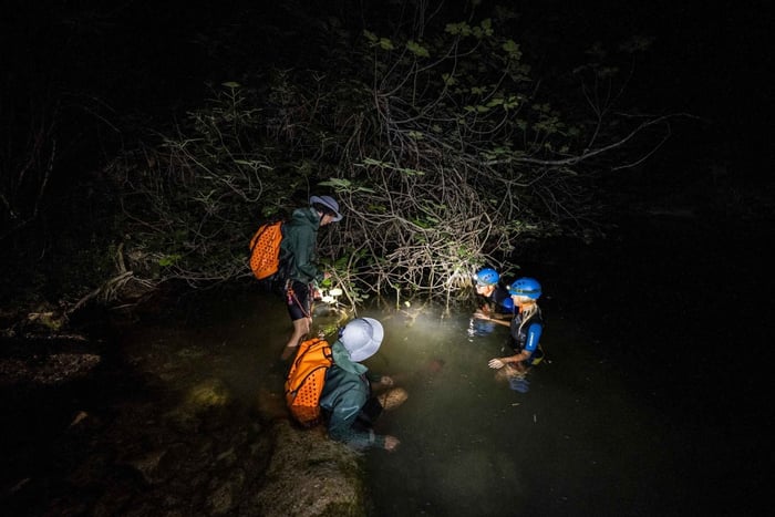 Budva: Night Safari with Wildlife Spotting and Camping