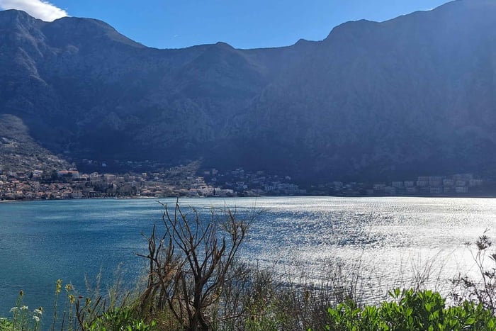 From Dubrovnik: Montenegro Full-Day Tour