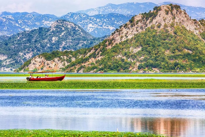 From Petrovac or Budva: Skadar Lake Cruise with Lunch