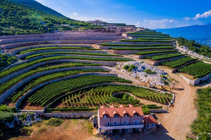 Građani: Winery Tour and Tasting at Winery Lipovac
