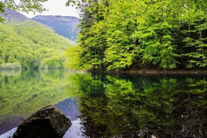 Kolašin: Biogradska Gora & Bjelasica Mountain Tour