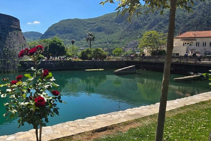 Kotor: Viagem de um dia aos destaques de Montenegro com guia