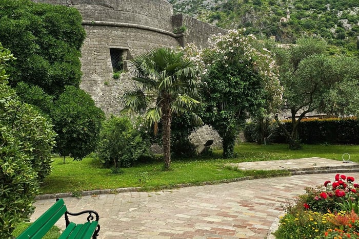 Kotor Old Town Private Tour with Local Guide