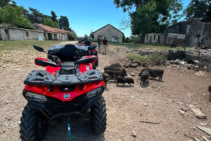 Kotor: visit fort Gorazda and Goran's Farm with ATV quad