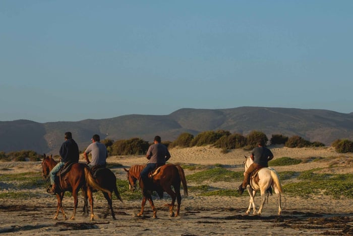 Podgorica: tour guiado a caballo y pueblos junto al lago