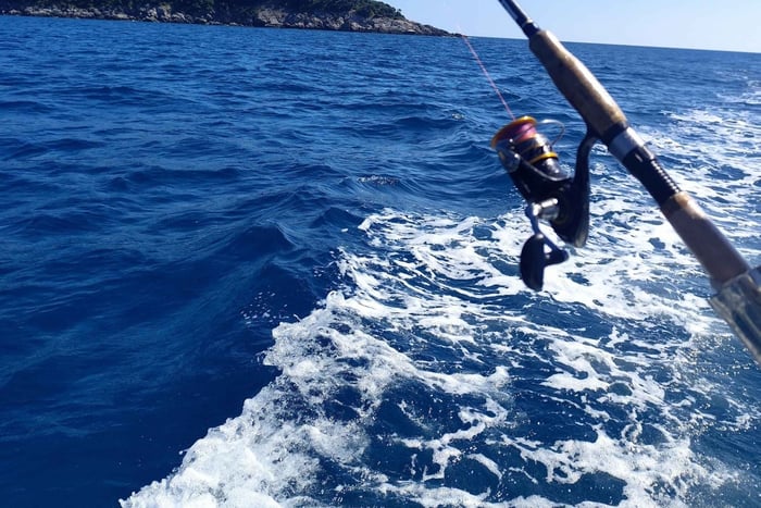 Experiencia privada de pesca en Ulcinj, Montenegro