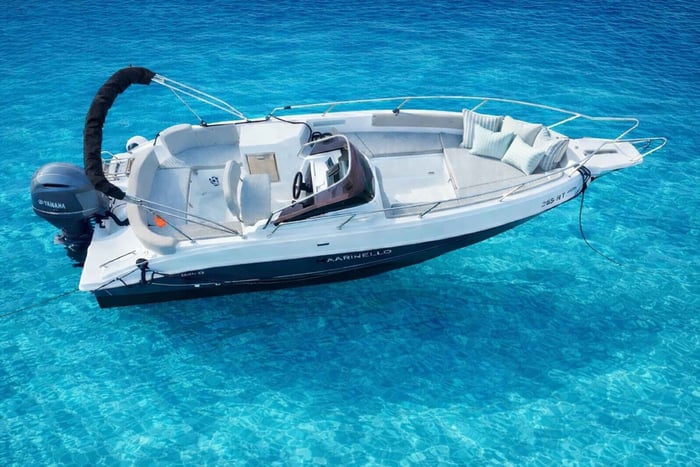 Tivat: Speedboat Tour with Dolphin Watching and Tubing