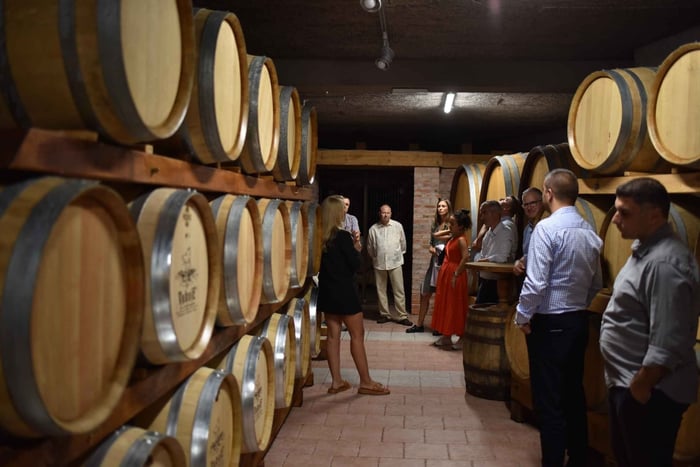 Trebinje: Winery Tour with Wine Tasting and Meal