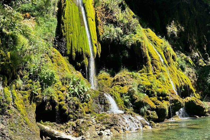 Zabljak: Deepest Tara River Canyon Full-Day Rafting