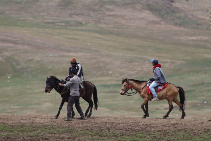 Žabljak: Guided Nature Horse Ride Tour with Mountain Views