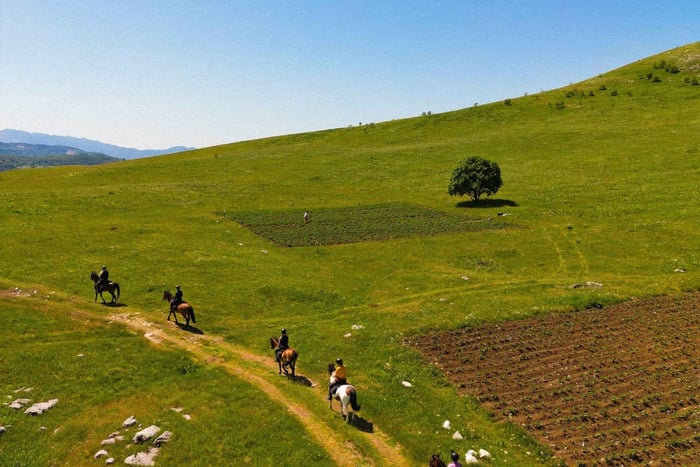 Žabljak: Sinjajevina and Durmitor Horseback Riding Tour