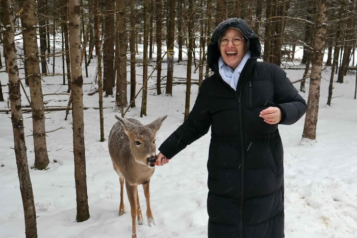 Fra Montreal: Omega Park Wildlife Safari Calling Sounds
