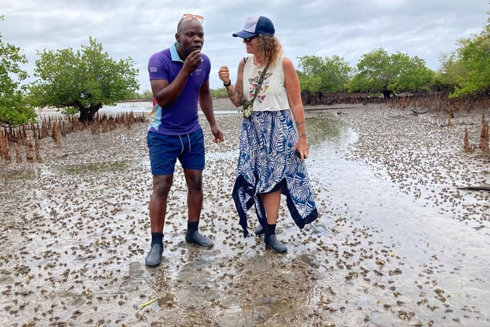 Barra: Mangrove Walking and Birdwatching Tour