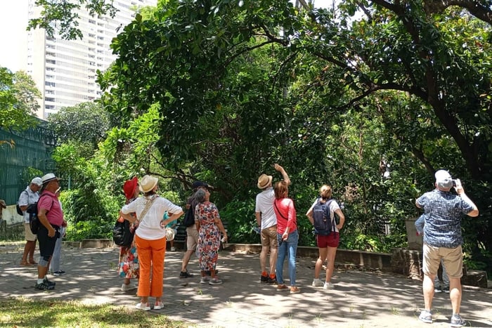 Excursão a pé pela baixa de Maputo