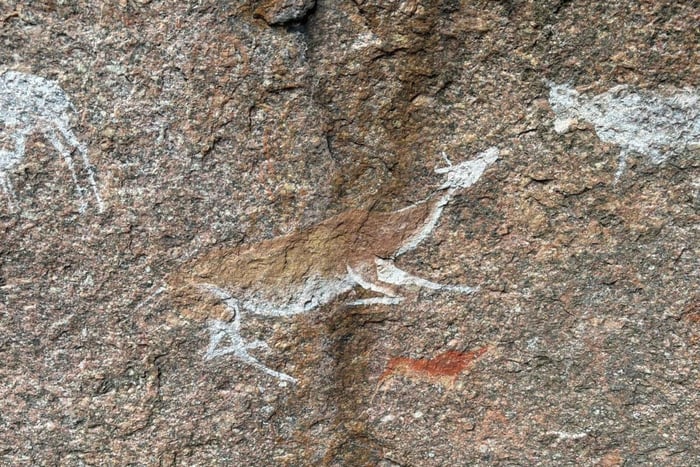 Maputo: Mkhuzweni Rock Art Site Day Tour