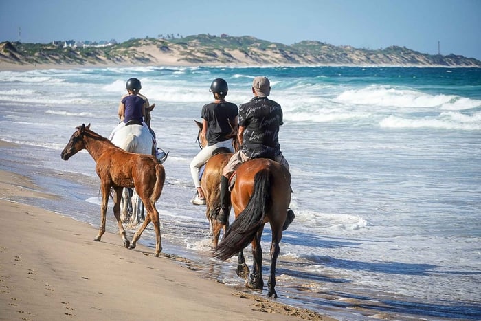 Tofo: Guided Horseback Riding Tour on Beach