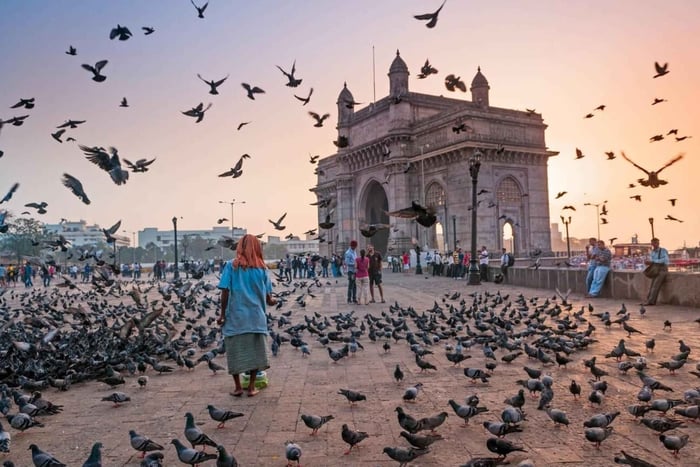 Mumbai Marvels Tour | 4 Std. Private Stadtführung mit Guide