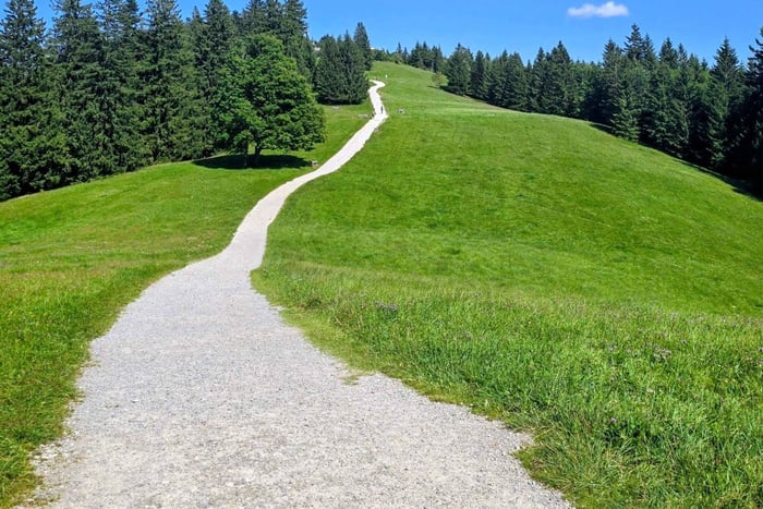 Guidad höstvandring nära München: Från Tegernsee till Schliersee