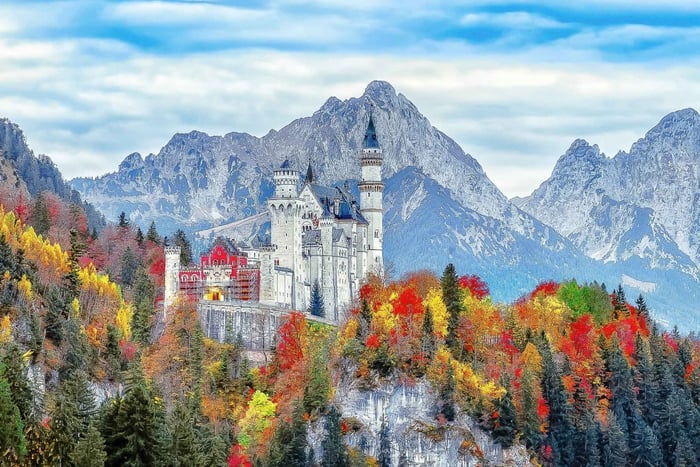 Z Monachium: Całodniowa wycieczka do zamku Neuschwanstein