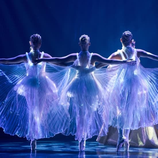 Ballet of Lights - Bon Podarunkowy
