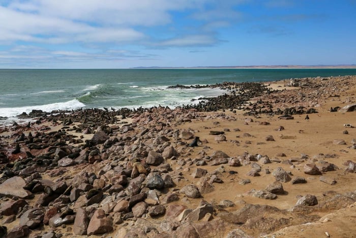 3 días de acampada en Sossusvlei