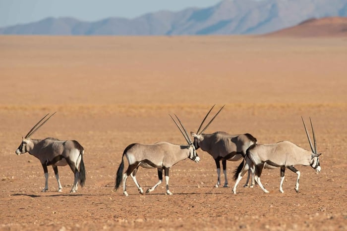 3 Days Namibia Sossusvlei Desert Safari