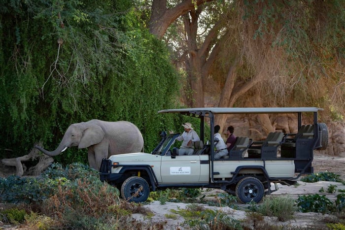 Ancient Damaraland & Wildlife Escape 4 Days / 3 Nights