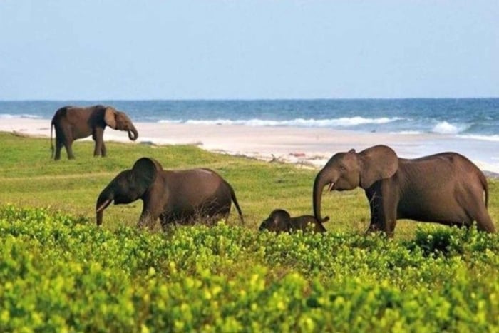 From namibia: Bwabwata National Park Safari with Guide