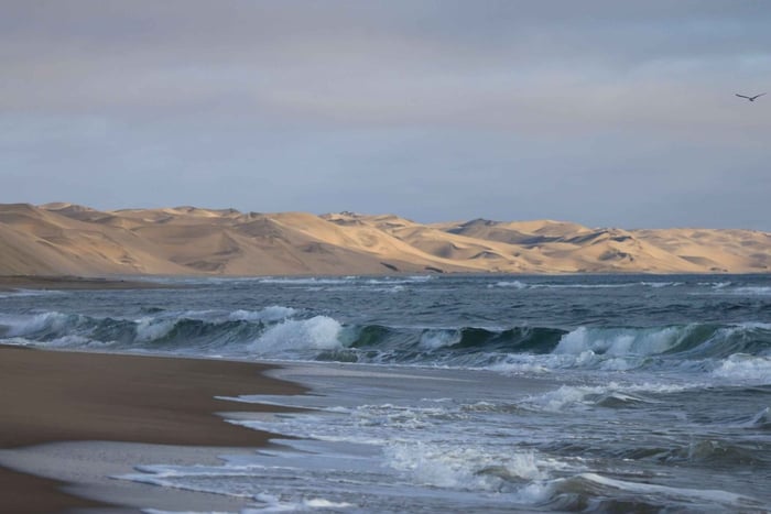 Depuis Walvis Bay : Sandwich Harbour, site classé au patrimoine mondial