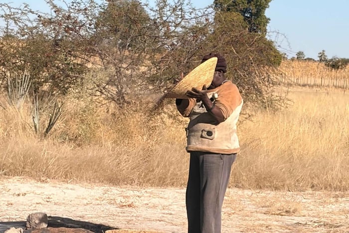Full Day Aawambo Cultural Immersion:Homesteads in Ovamboland