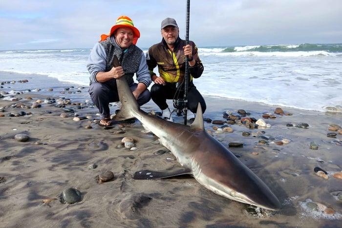 Henties Bay: Full-Day Skeleton Coast Fishing Tour with Gear