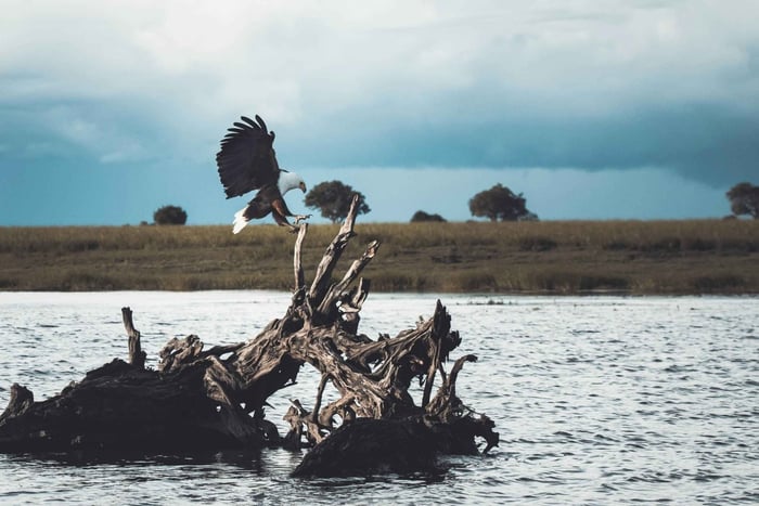 Katima Mulilo: Sunset Zambezi River Boat Safari