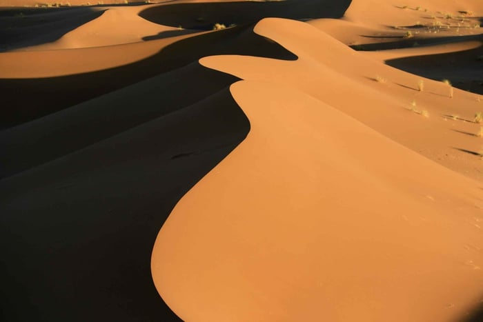 Namib Desert Sunrise 4x4 Tour with Breakfast