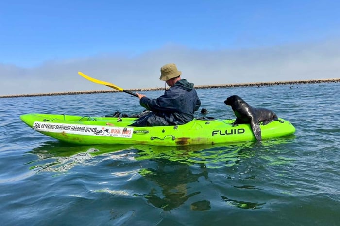 Pelican Point Seal Kayaking Adventure