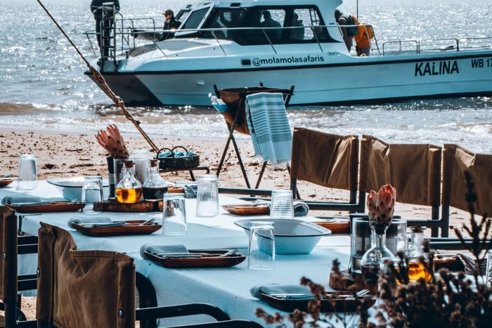 Walvis Bay: Marine Cruise with Beach Lunch