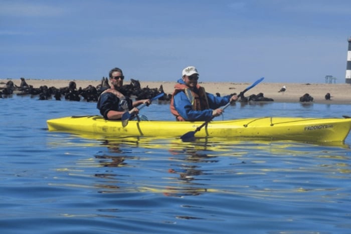 Walvis Bay: Pelican Point Kajak Tour