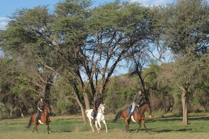Windhoek: Sundowner Safari Horse Ride Half Day Tour