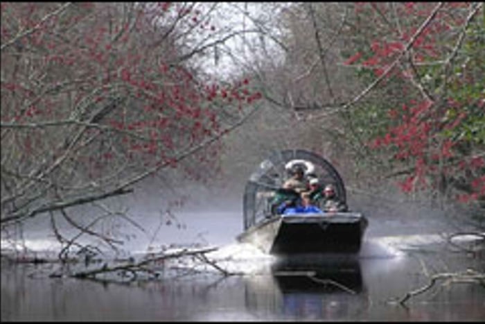 Excursion en canot pneumatique dans les marais de Louisiane